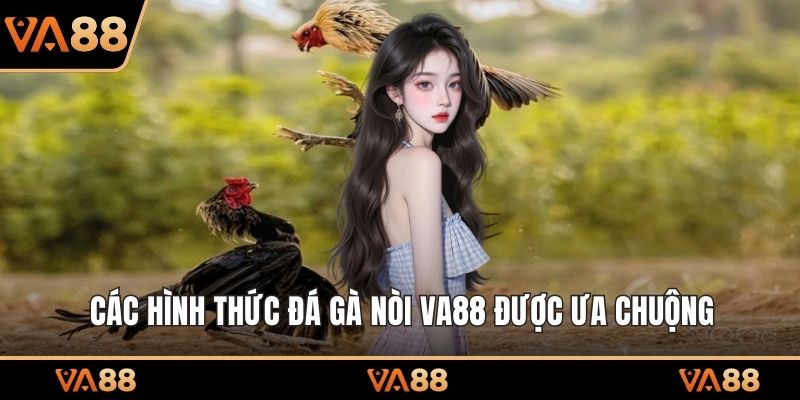 Các hình thức đá gà nòi VA88 được ưa chuộng