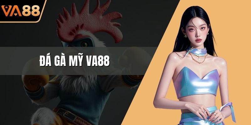 Đá Gà Mỹ VA88