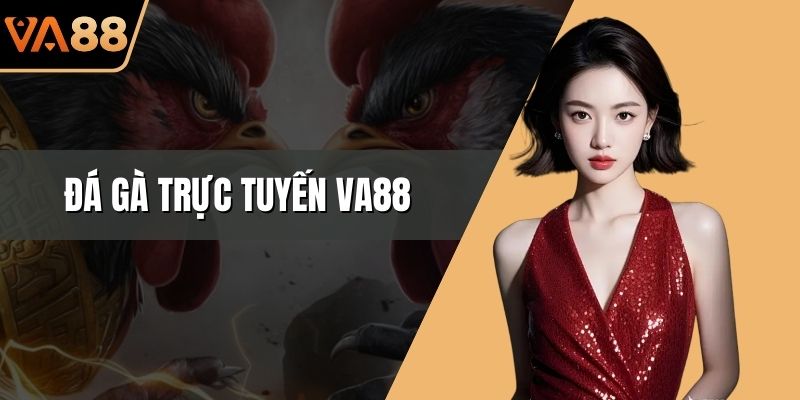 Đá Gà Trực Tuyến VA88