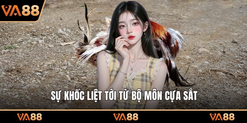 Sự khốc liệt tới từ bộ môn cựa sắt